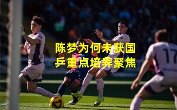 陈梦为何未获国乒重点培养聚焦