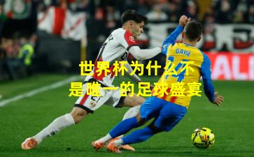 世界杯为什么不是唯一的足球盛宴